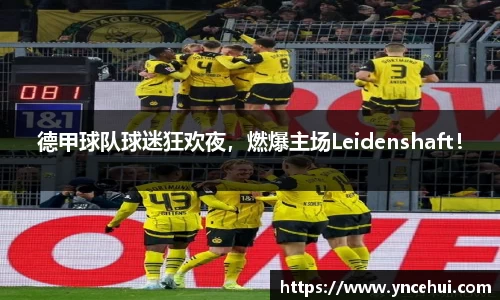 德甲球队球迷狂欢夜，燃爆主场Leidenshaft！