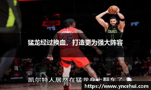 猛龙经过换血，打造更为强大阵容