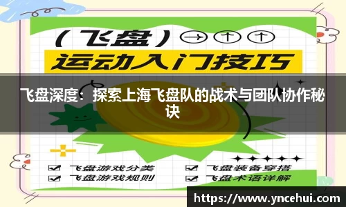 飞盘深度：探索上海飞盘队的战术与团队协作秘诀