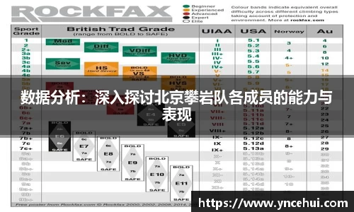 数据分析：深入探讨北京攀岩队各成员的能力与表现