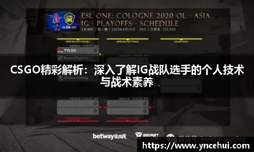 CSGO精彩解析：深入了解IG战队选手的个人技术与战术素养