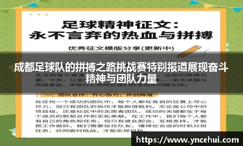 成都足球队的拼搏之路挑战赛特别报道展现奋斗精神与团队力量