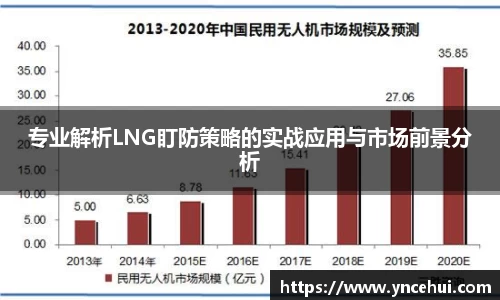 专业解析LNG盯防策略的实战应用与市场前景分析