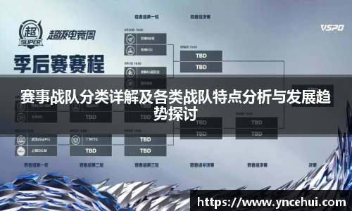 赛事战队分类详解及各类战队特点分析与发展趋势探讨