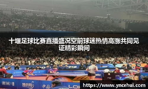 JN江南平台