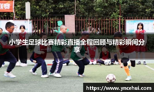 JN江南APP
