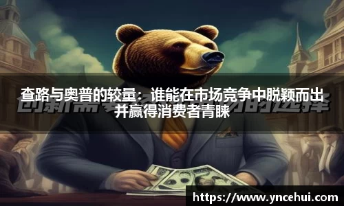 查路与奥普的较量：谁能在市场竞争中脱颖而出并赢得消费者青睐